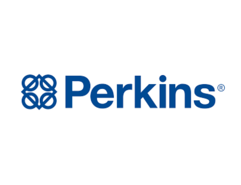 Perkins generator in Pakistan