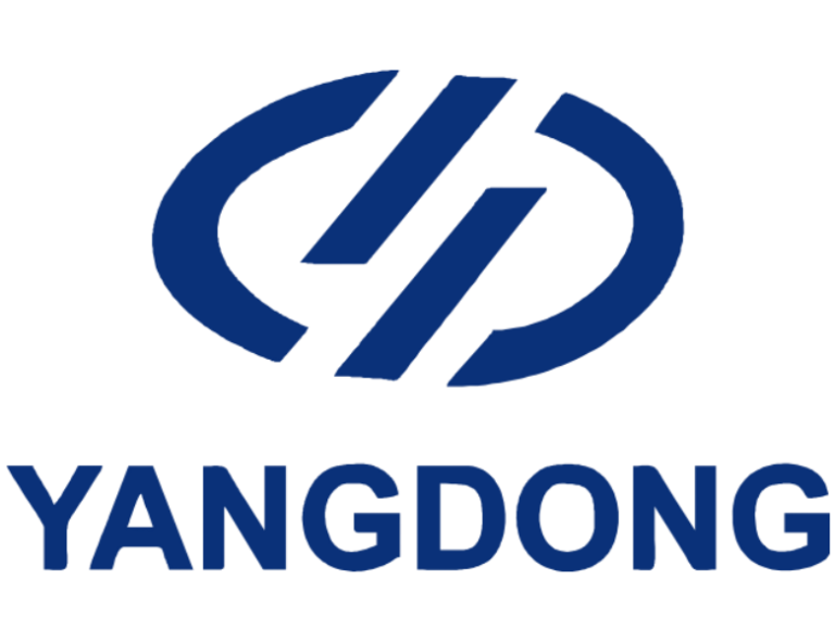 Yangdong generator in Pakistan